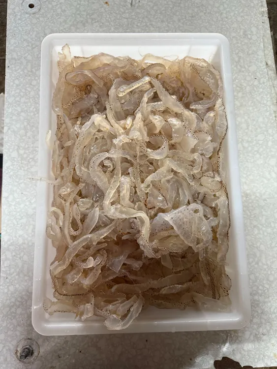 辽宁营口纯野生珊瑚海蜇丝