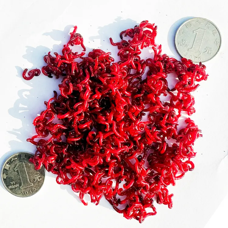 黑坑拉饵喂鱼野钓鲫鱼饵料