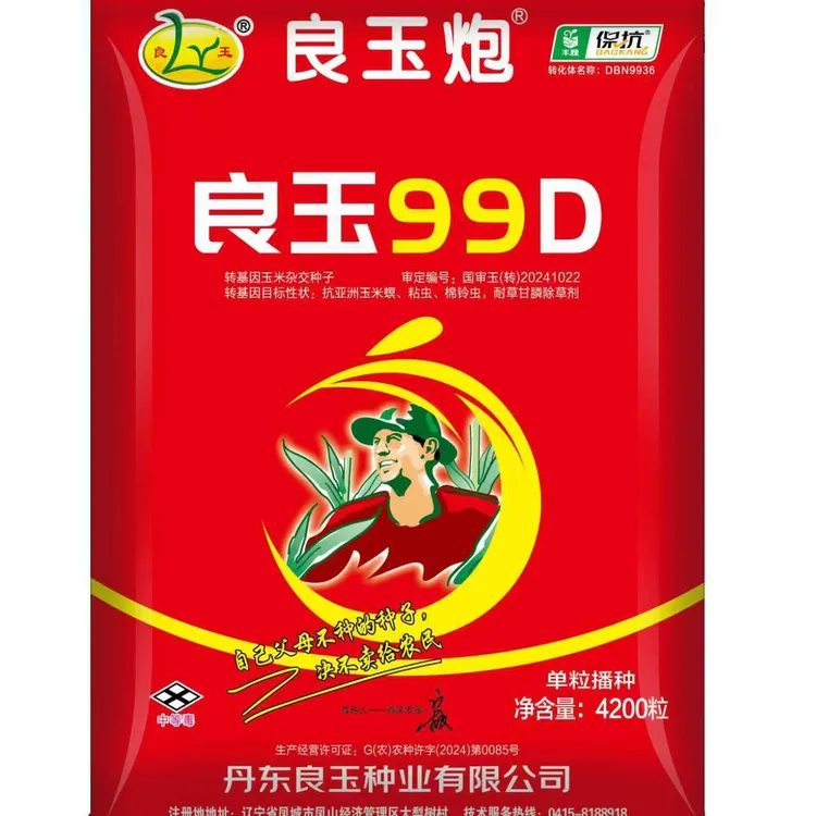 丹东良玉99D抗虫抗草甘膦正宗高产抗病性强(4200粒)