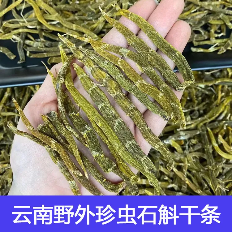 正宗珍虫皮石斛条250g500g云南特产珍虫石斛胶质浓郁可磨粉泡水
