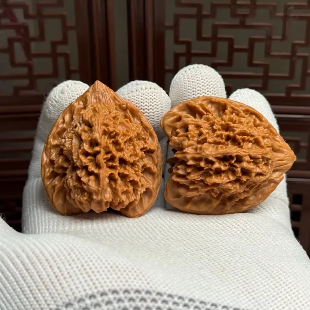 精选满天星狮子头，边40肚37高44，一代老树原桩满天星一物一图全品