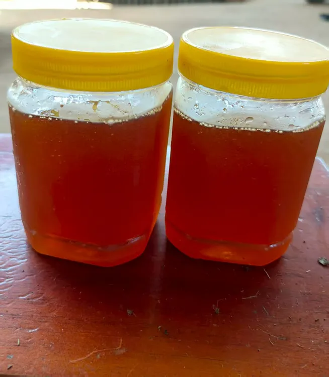 农家土蜂蜜天然原生态支持检测