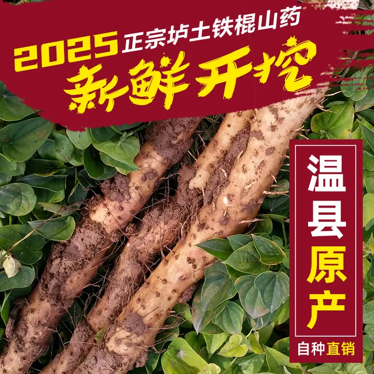 河南焦作温县正宗铁棍山药新鲜现挖粉糯香甜营养丰富