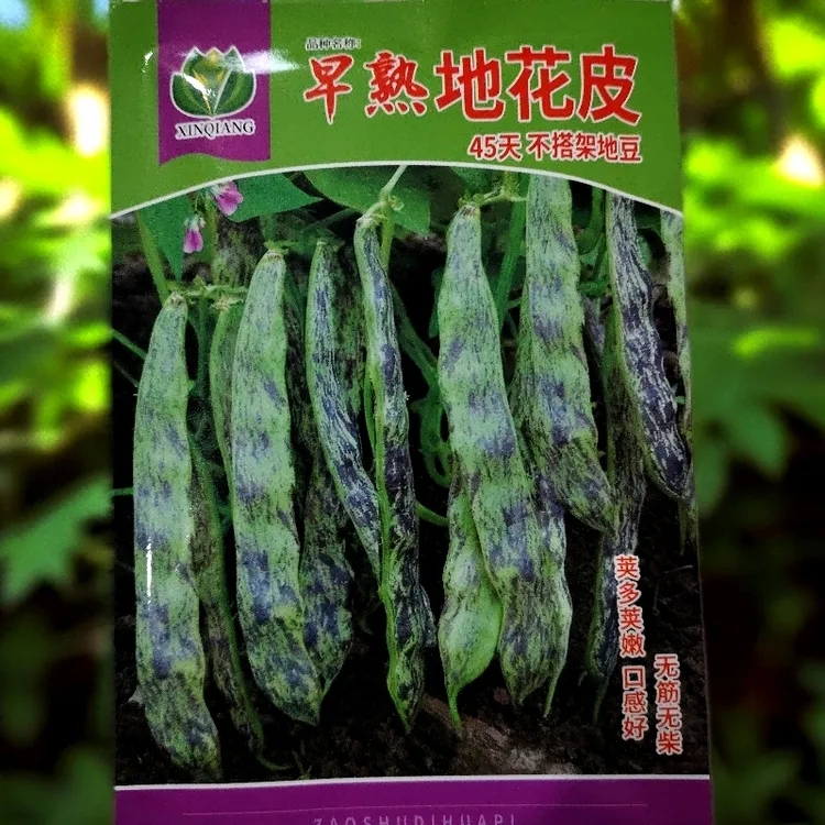 不搭架地花皮豆角种子50克左右