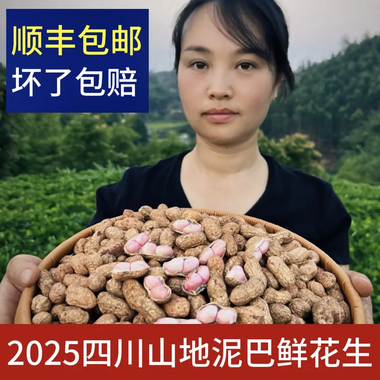 【顺丰包邮】2025四川新鲜泥巴花生现挖带壳湿花生农家自种粉皮花生
