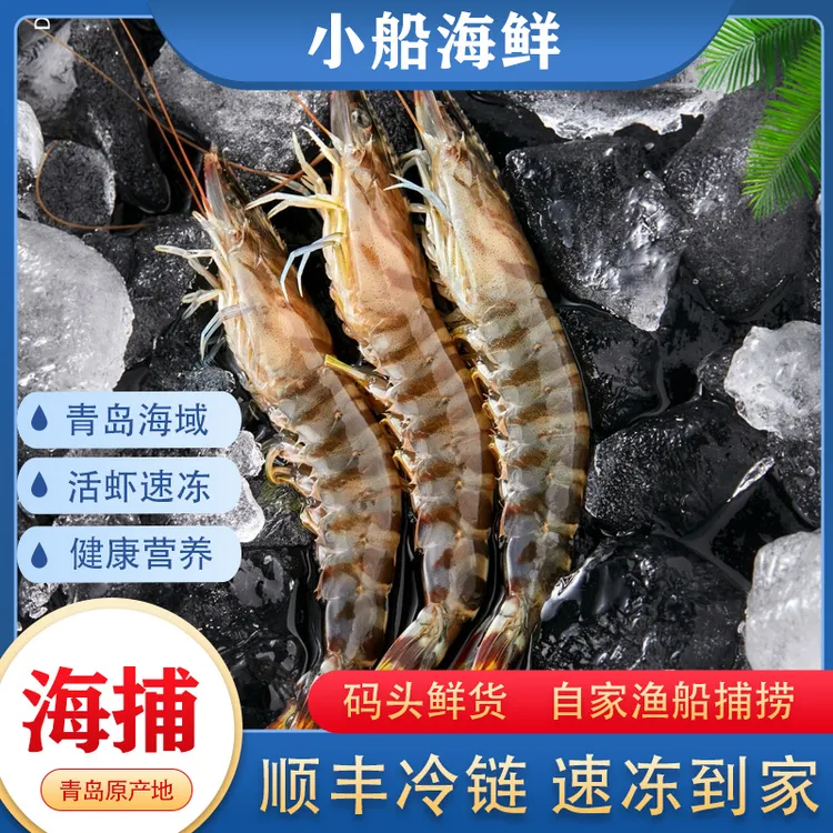 【小船海鲜】青岛码头开海竹节虾活虾速冻40头左右顺丰冷链速达