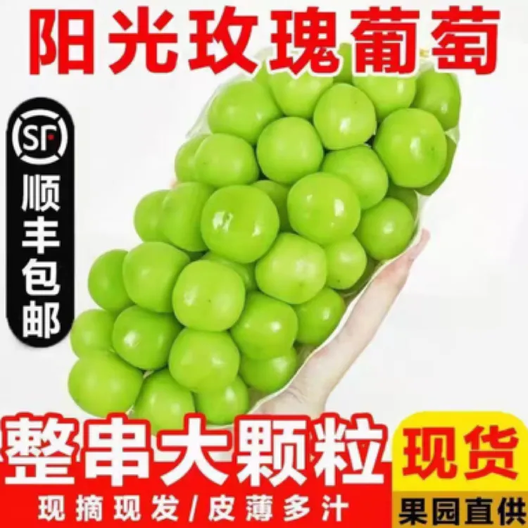 【阳光玫瑰】葡萄晴王脆甜无籽新鲜果园现摘现发3/5斤晴王阳光玫瑰