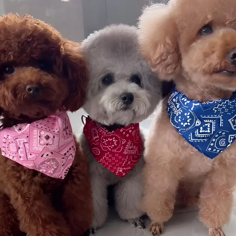 时尚宠物三角巾狗狗口水巾猫咪围兜柯基泰迪金毛围脖舒适可调节