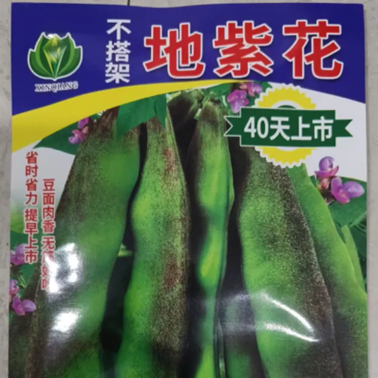 不搭架地芸豆油豆豆角柿子种子（约100粒左右东北山河）油豆角豆荚