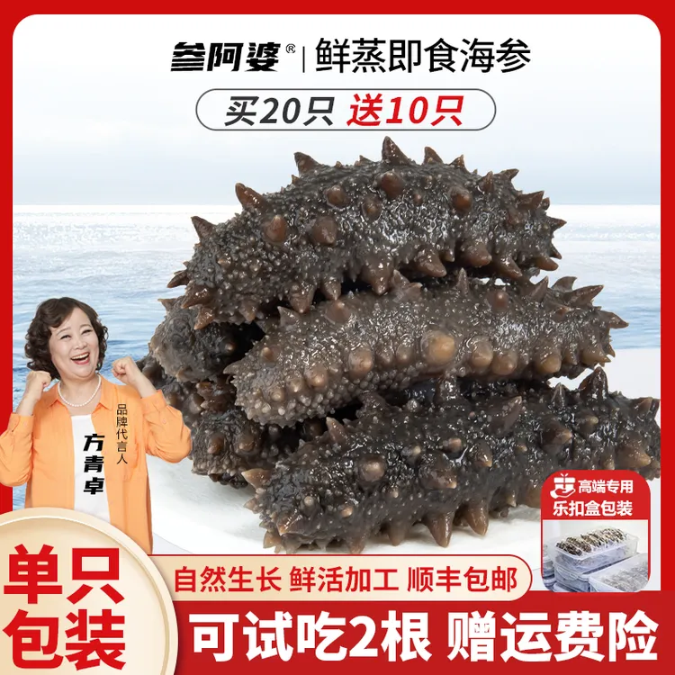 【双十一抢鲜】参阿婆鲜蒸海参即食新鲜海刺参买20送10头非淡干ZB-S