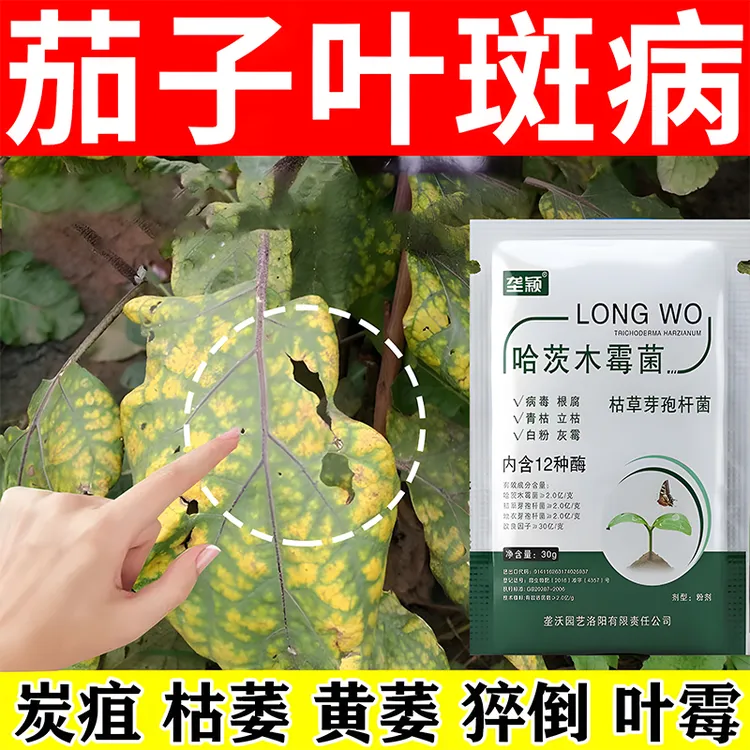 茄子叶斑病专用除菌剂炭疽褐斑叶霉藻斑病卷叶枯萎黄萎病虫害肥料