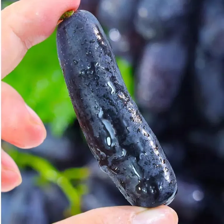 【顺丰包邮】2025头茬金手指葡萄甜蜜蓝宝石当季新鲜无籽水果