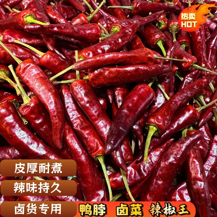 福建辣椒王干辣椒特辣超香皮厚耐煮适合辣卤