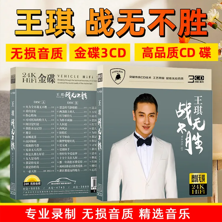 王琪CD光盘网络热门流行歌曲无损高音质车载CD碟片