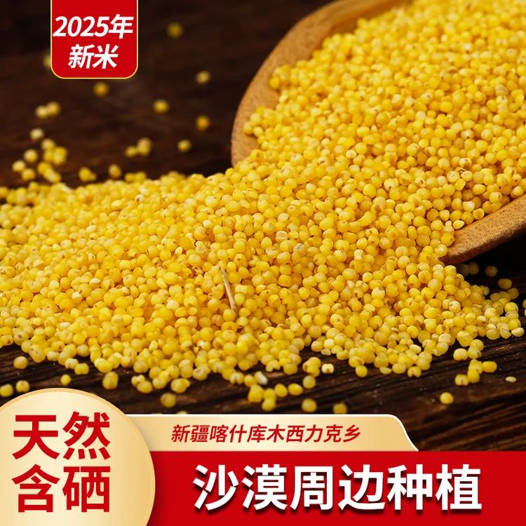 【新米上市】 沙漠小米2025年新米圆润饱满色泽鲜黄1-5斤装
