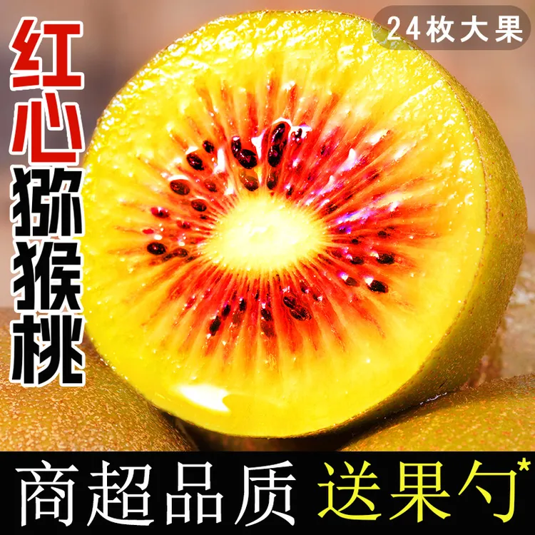 正宗四川红心猕猴桃当季新鲜孕妇水果奇异果大果正宗弥猴桃整箱