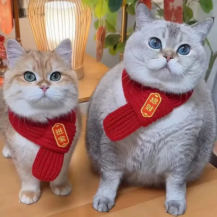 宠物猫咪围脖口水巾狗狗围脖配饰装饰红色可爱毛线保暖针织喜庆