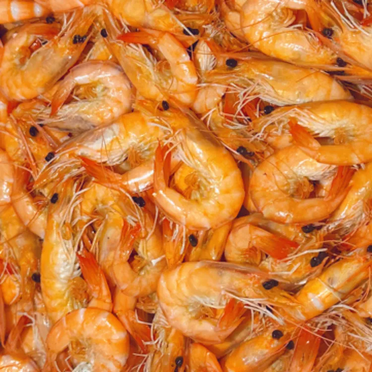 渤海湾锅捞海虾50 - 60个头新鲜美味