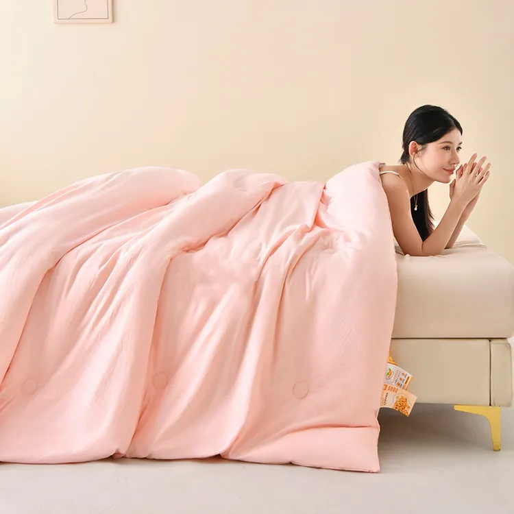 薄款单人亲肤保暖冬被加厚夏凉被母婴学生宿舍单双人被芯