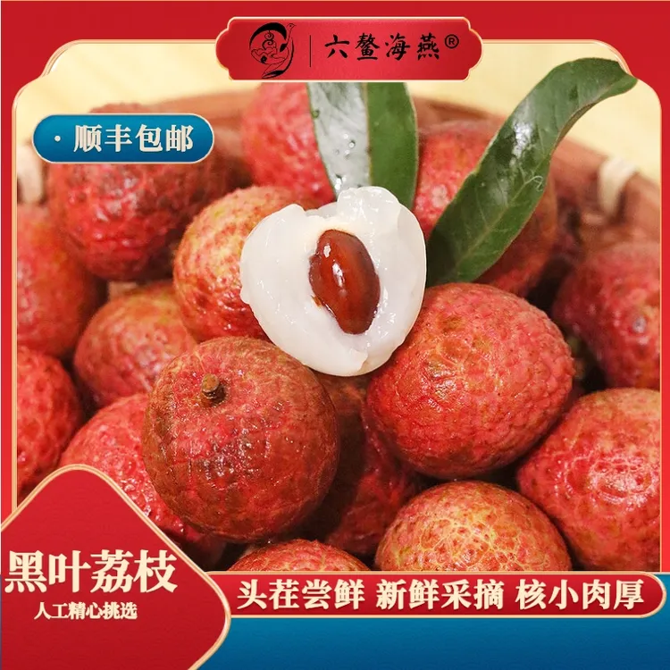 福建正宗乌石黑叶荔枝当季新鲜果现摘现发老树果顺丰包邮