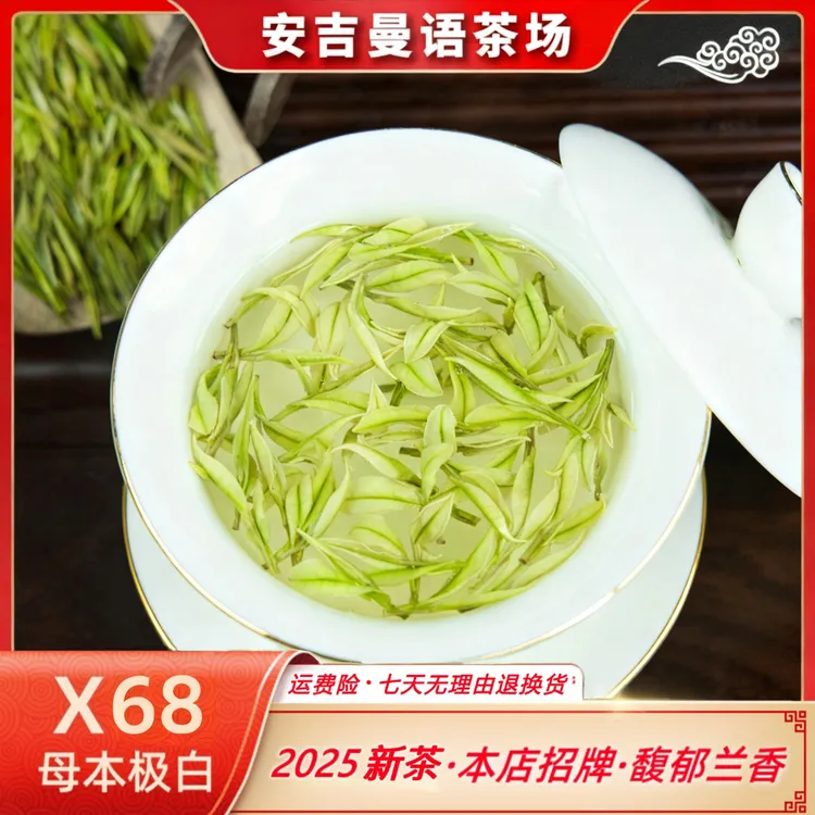 安吉高山白茶 X68 母本极白 2025新茶 原产地 兰花香 明前茶 春茶