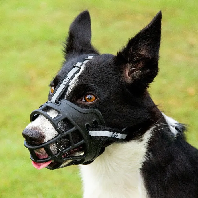 嘴套反光宠物嘴罩防咬叫乱吃中型大型犬口罩宠物用品网红