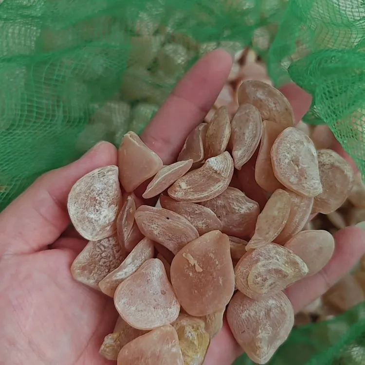 天然青鱼石原料统货散珠手工材料打包出diy助眠能量招鱼石吊坠