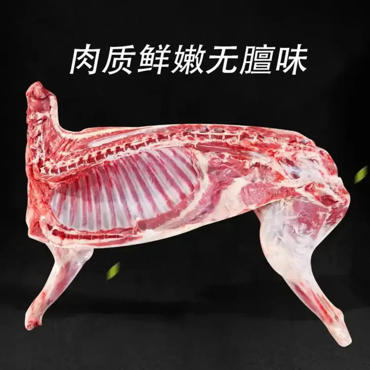 产地直发半只羊冷冻生鲜鲜嫩手抓羊肉高蛋白肉质更嫩新鲜