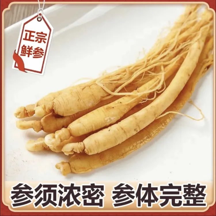（福利一支装）正宗长白山保鲜参可用于泡酒煲汤独立真空包装产地