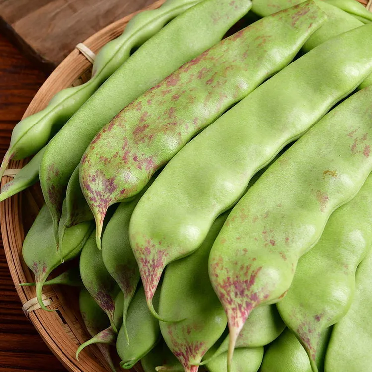 东北现摘油豆角新鲜一点红豆角九月红豆角当季东北油豆角整箱包邮