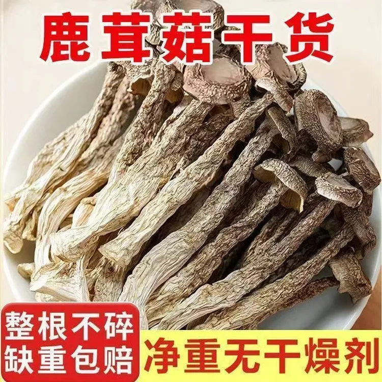 鹿茸菇菌菇干货高山原产肉厚无熏硫可煲汤可爆炒新鲜食材