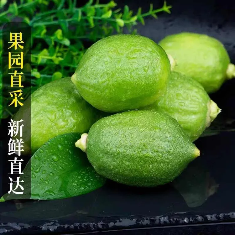 精品一级果-爆汁爆香广东香水柠檬现摘现发皮厚肉香保温箱发货