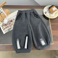  2025年新款儿童男童秋冬潮流潮流贴布刺绣加厚绒卫裤BMD253871