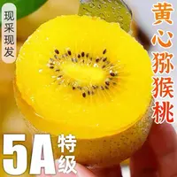 四川黄心猕猴桃新鲜水果香甜多汁现摘现发奇异果