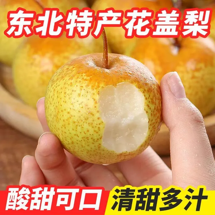 正宗东北花盖梨薄皮细肉绥中特产花梨可做冻梨面酸梨整箱直发