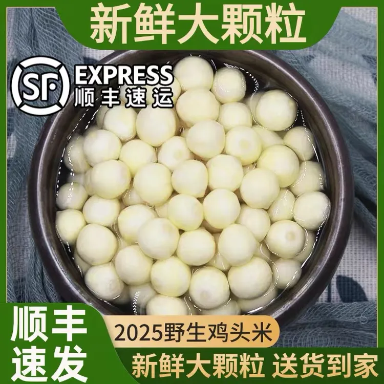东芡一号 芡实2025新鲜芡实鸡头米顺丰包邮