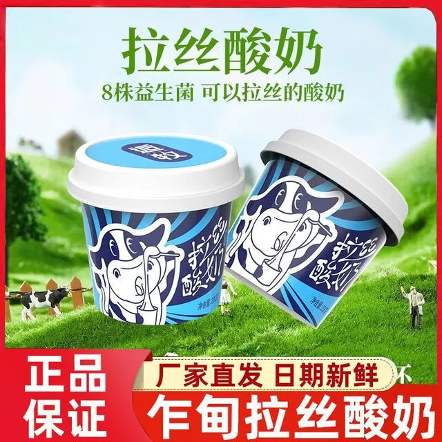 冷藏发货云南乍甸100克*8杯逅牧拉丝酸奶低温酸奶学生酸奶