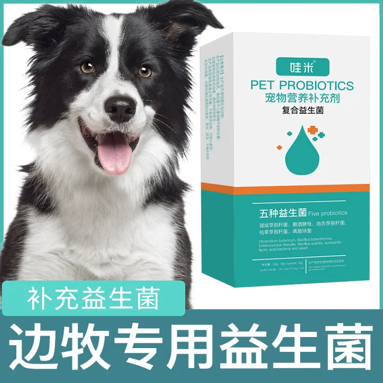 边牧专用益生菌粉宠物犬用狗狗小幼犬成犬肠胃宝肠道消化宝营养