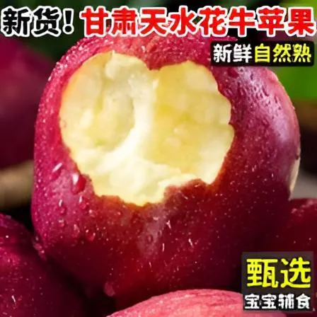 正宗甘肃天水花牛苹果2025年新果脆面两吃老少皆宜