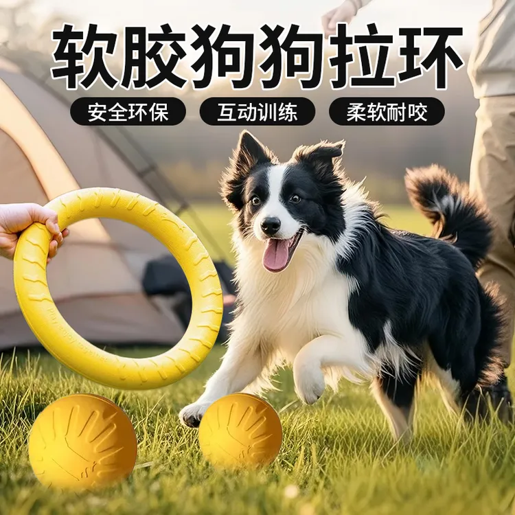 狗狗飞盘互动拉环玩具中大型犬磨牙耐咬训犬训练巡回好物边牧柯基
