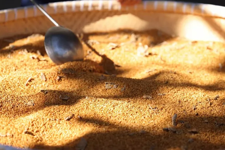 （散秤）暖冬台州特产玉环火山岛姜炒米1斤