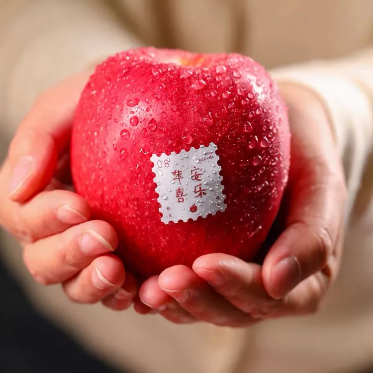 秋冈EV高原玫瑰苹果中国西北黄土高原蜜脆苹果新鲜水果礼盒