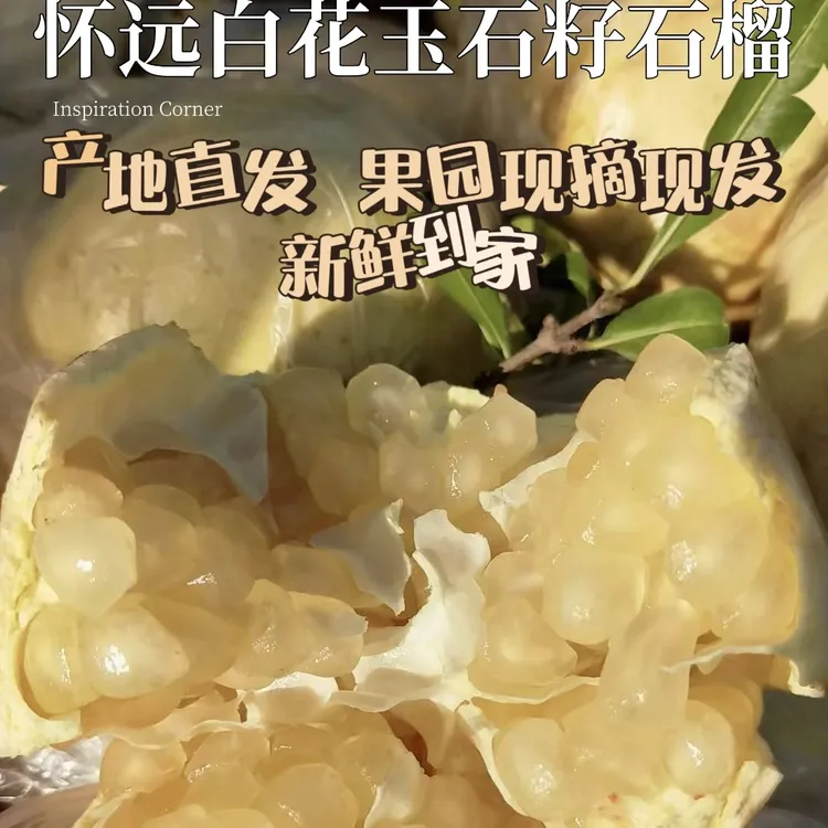 正宗安徽怀远白石榴白花白皮白玉石榴特产现摘中大果新鲜水果10斤