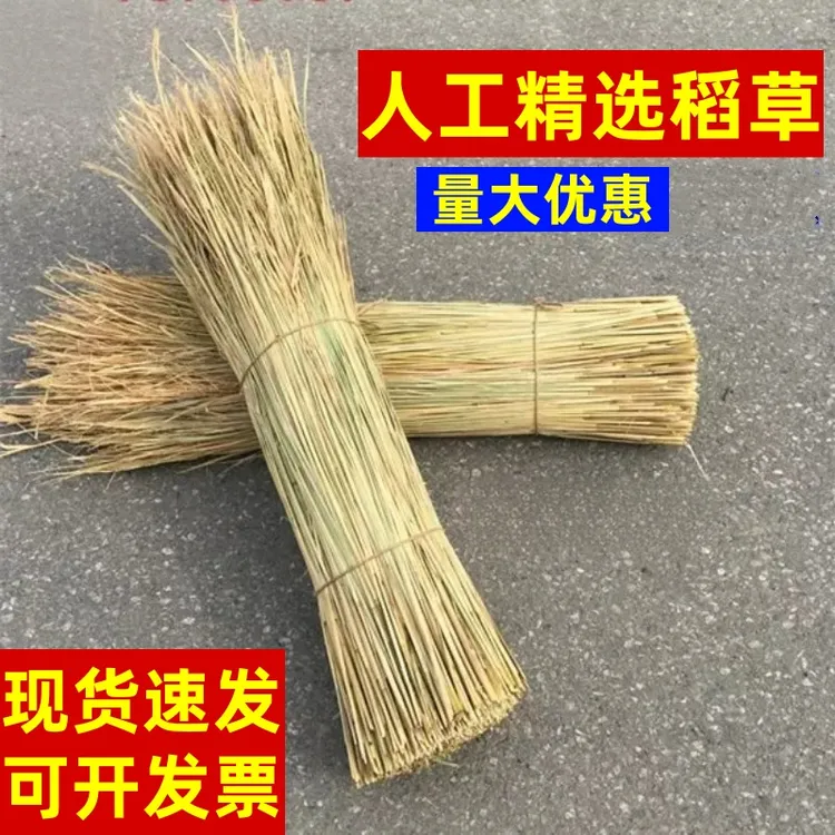 天然干稻草做霉豆腐的稻草屋顶装饰草帘遮阳稻草帘子牛羊保暖稻草