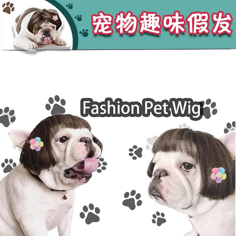 宠物假发猫狗搞怪卖萌假头套哪吒发箍小辫子波波头齐刘海可爱风高