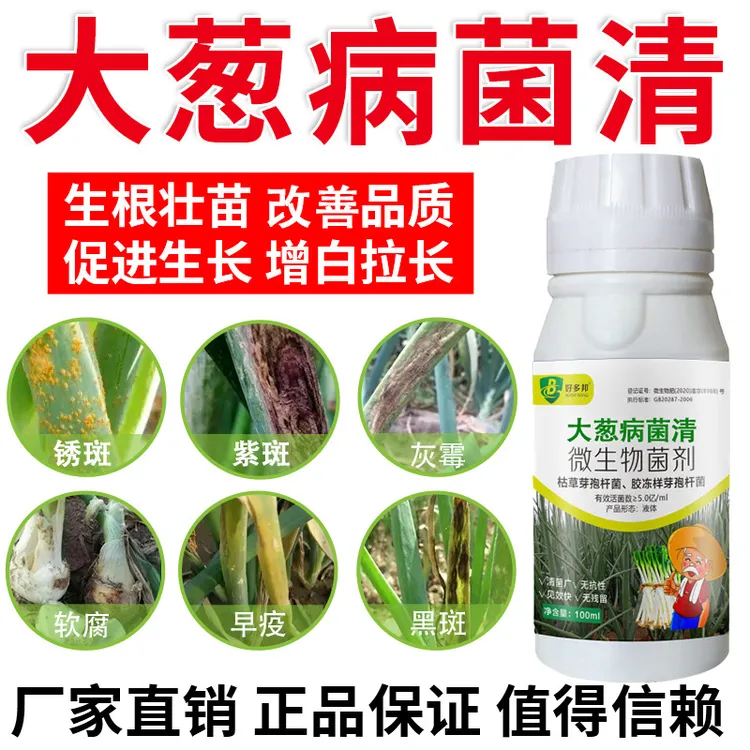 大葱病菌清大葱黄叶干尖大葱锈斑紫斑软腐根腐配方升级微生物菌剂