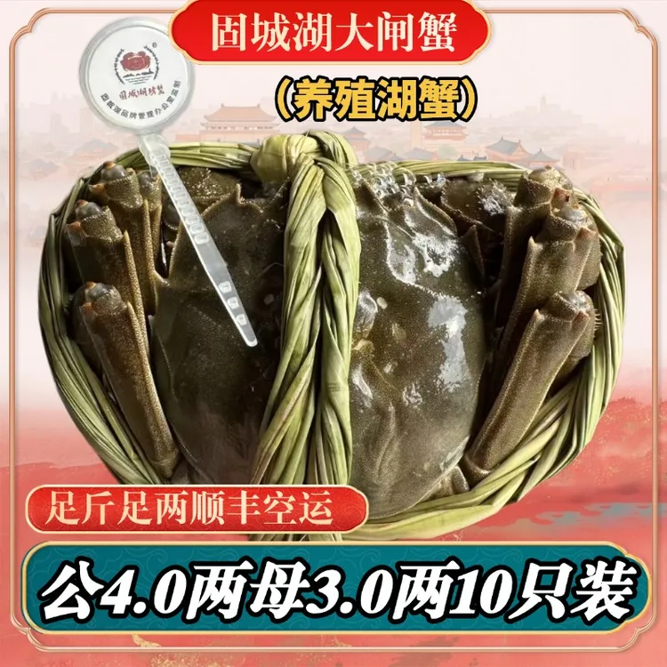 [活蟹]江苏固城湖大闸蟹公4两 母3两6只8只10只装顺丰包邮