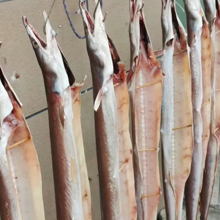 宁波舟山风鳗本地海鳗海边自然海风晾晒（宁波口味）清蒸即可