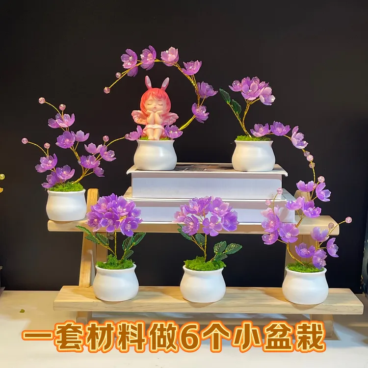 【6个小盆栽】幸福花小盆栽材料包