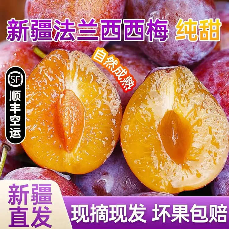 【顺丰包邮】新疆伽师法兰西西梅树熟新鲜采摘当季新鲜水果喀什特产